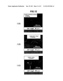 Catalyst Body for Production of Brush-shaped Carbon Nanostructure diagram and image