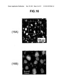 Catalyst Body for Production of Brush-shaped Carbon Nanostructure diagram and image