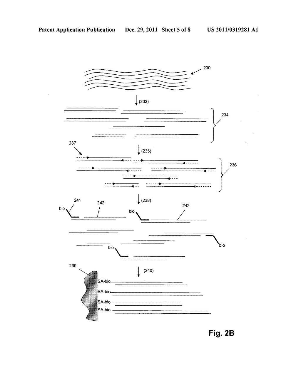 Nucleic Acid Analysis by Random Mixtures of Non-Overlapping Fragments - diagram, schematic, and image 06