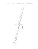 OLIGONUCLEOTIDES CAPABLE OF DISCRIMINATING BETWEEN NUCLEIC ACID SEQUENCES     THAT COMPRISE A CONSERVED SEQUENCE diagram and image