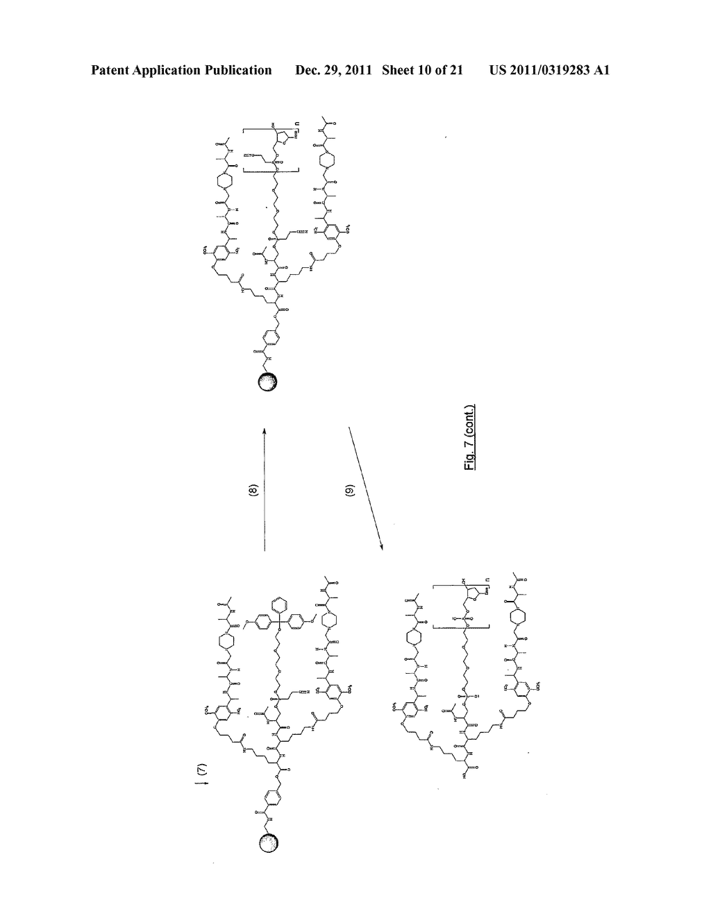 OLIGONUCLEOTIDES CAPABLE OF DISCRIMINATING BETWEEN NUCLEIC ACID SEQUENCES     THAT COMPRISE A CONSERVED SEQUENCE - diagram, schematic, and image 11