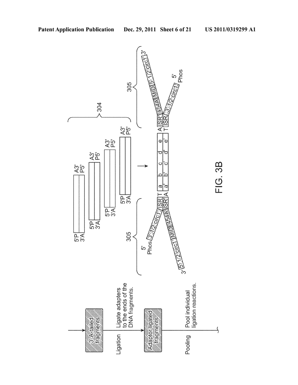METHODS AND COMPOSITIONS FOR POLYNUCLEOTIDE LIBRARY PRODUCTION,     IMMORTALIZATION AND REGION OF INTEREST EXTRACTION - diagram, schematic, and image 07
