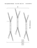 METHODS AND COMPOSITIONS FOR POLYNUCLEOTIDE LIBRARY PRODUCTION,     IMMORTALIZATION AND REGION OF INTEREST EXTRACTION diagram and image