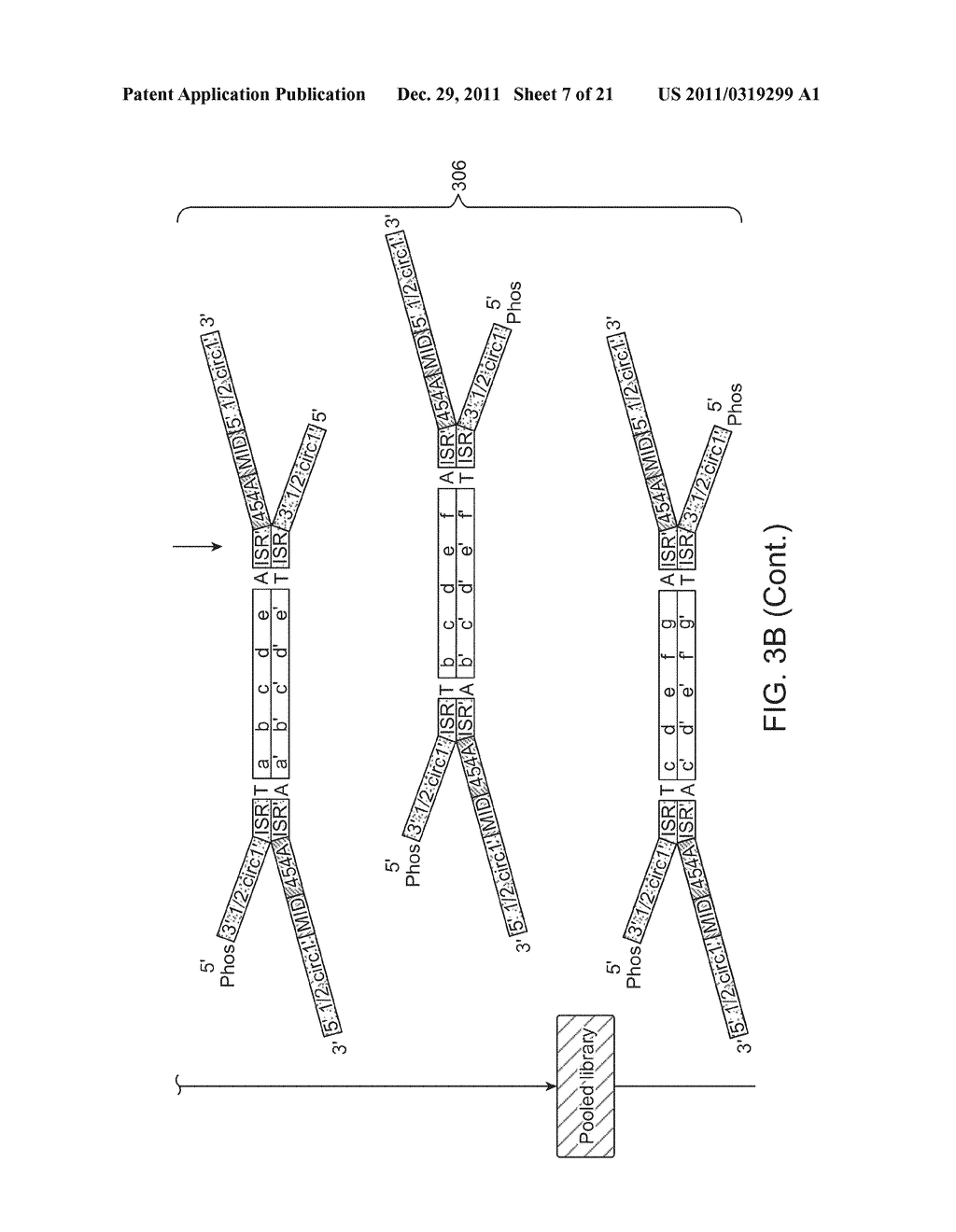 METHODS AND COMPOSITIONS FOR POLYNUCLEOTIDE LIBRARY PRODUCTION,     IMMORTALIZATION AND REGION OF INTEREST EXTRACTION - diagram, schematic, and image 08