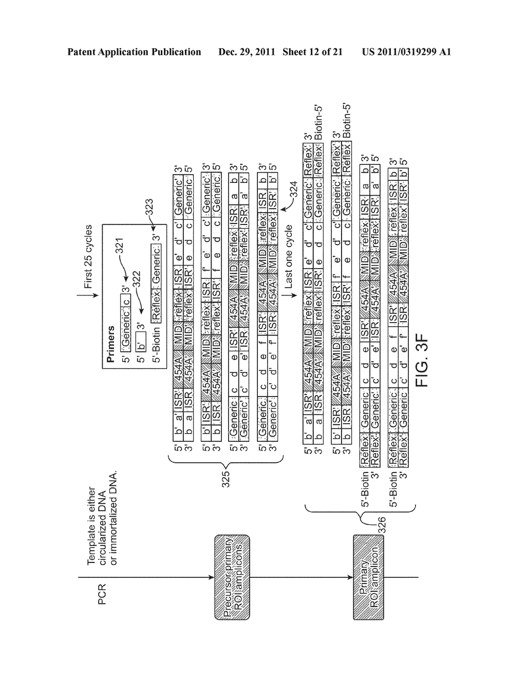 METHODS AND COMPOSITIONS FOR POLYNUCLEOTIDE LIBRARY PRODUCTION,     IMMORTALIZATION AND REGION OF INTEREST EXTRACTION - diagram, schematic, and image 13