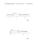 CELL-SPECIFICALLY EFFECTIVE MOLECULES ON THE BASIS OF siRNA AND     APPLICATION KITS FOR THE PRODUCTION THEREOF AND USE THEREOF diagram and image