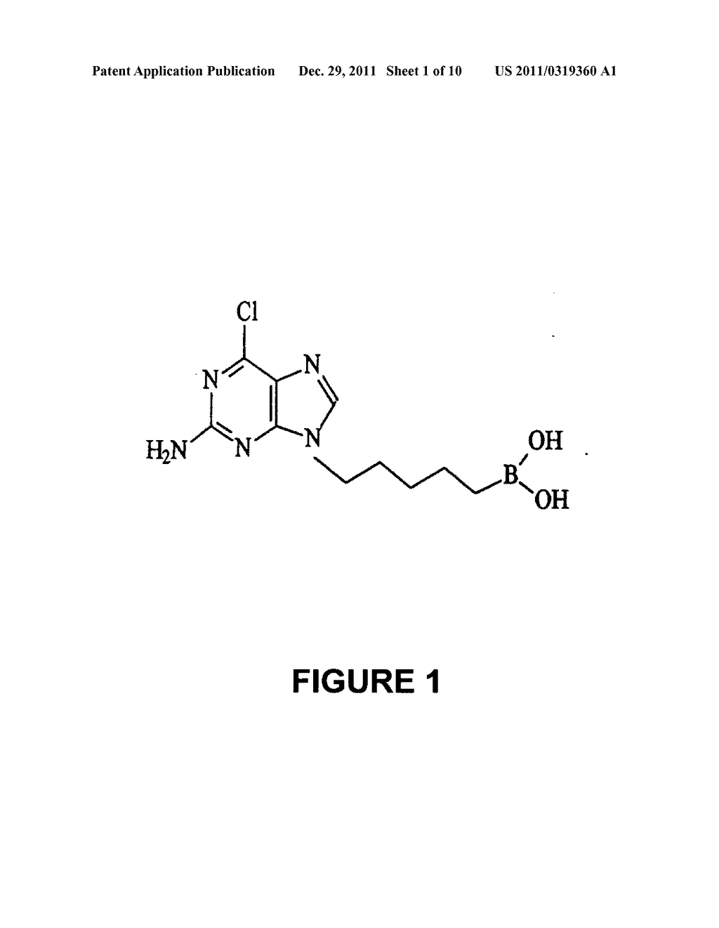 Method of including apoptosis/Cell death in leukemia cell using a purine     nucleoside analogue - diagram, schematic, and image 02