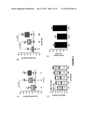 Method of including apoptosis/Cell death in leukemia cell using a purine     nucleoside analogue diagram and image