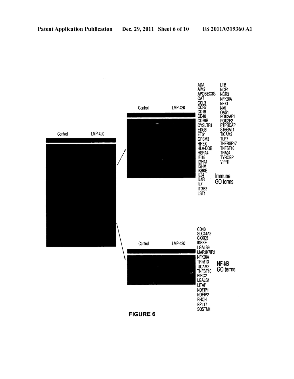 Method of including apoptosis/Cell death in leukemia cell using a purine     nucleoside analogue - diagram, schematic, and image 07