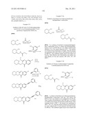 Compounds for Treating Disorders Mediated by Metabotropic Glutamate     Receptor 5, and Methods of Use Thereof diagram and image