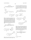 Compounds for Treating Disorders Mediated by Metabotropic Glutamate     Receptor 5, and Methods of Use Thereof diagram and image