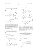 Compounds for Treating Disorders Mediated by Metabotropic Glutamate     Receptor 5, and Methods of Use Thereof diagram and image