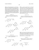 Compounds for Treating Disorders Mediated by Metabotropic Glutamate     Receptor 5, and Methods of Use Thereof diagram and image