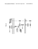 Treatment and prevention of diffuse parenchymal lung disease by selective     active-site mTOR inhibitors diagram and image