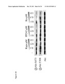 Treatment and prevention of diffuse parenchymal lung disease by selective     active-site mTOR inhibitors diagram and image