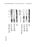 Treatment and prevention of diffuse parenchymal lung disease by selective     active-site mTOR inhibitors diagram and image