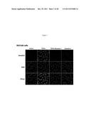 Methods of Treating Fibrosis, Cancer and Vascular Injuries diagram and image