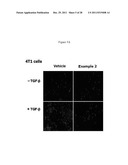 Methods of Treating Fibrosis, Cancer and Vascular Injuries diagram and image