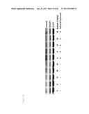 Methods of Treating Fibrosis, Cancer and Vascular Injuries diagram and image