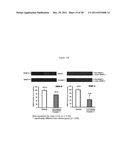 Methods of Treating Fibrosis, Cancer and Vascular Injuries diagram and image