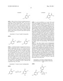 FUSED HETEROARYL PYRIDYL AND PHENYL BENZENESUFLONAMIDES AS CCR2 MODULATORS     FOR THE TREATMENT OF INFLAMMATION diagram and image