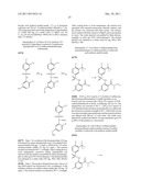 FUSED HETEROARYL PYRIDYL AND PHENYL BENZENESUFLONAMIDES AS CCR2 MODULATORS     FOR THE TREATMENT OF INFLAMMATION diagram and image