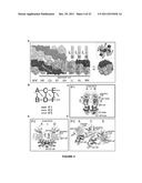 Methods and Compositions for Modulating IRE1, SRC, and ABL Activity diagram and image