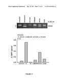 Methods and Compositions for Modulating IRE1, SRC, and ABL Activity diagram and image