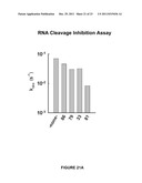 Methods and Compositions for Modulating IRE1, SRC, and ABL Activity diagram and image