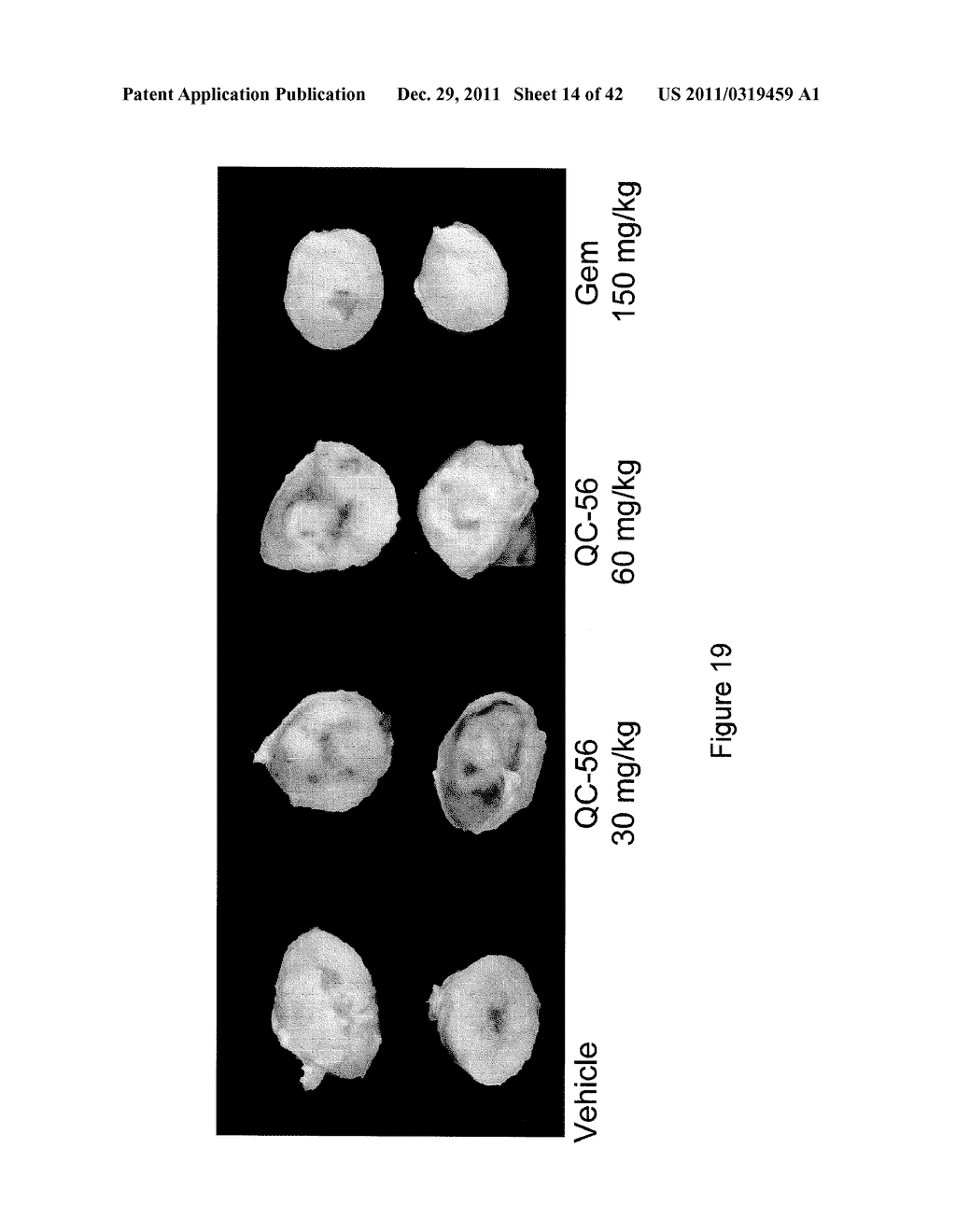 Compounds and Methods for Treating Cancer and Diseases of the Central     Nervous System - diagram, schematic, and image 15