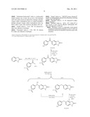 KINASE INHIBITORS diagram and image