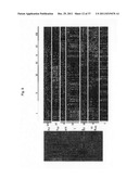 Diagnosis, prognosis and identification of potential therapeutic targets     of multiple myeloma based on gene expression profiling diagram and image