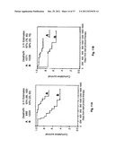 Diagnosis, prognosis and identification of potential therapeutic targets     of multiple myeloma based on gene expression profiling diagram and image