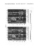 Diagnosis, prognosis and identification of potential therapeutic targets     of multiple myeloma based on gene expression profiling diagram and image