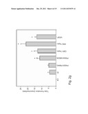 POLYPEPTIDES AND POLYNUCLEOTIDES ENCODING SAME AND USE THEREOF IN THE     TREATMENT OF MEDICAL CONDITIONS ASSOCIATED WITH ISCHEMIA diagram and image