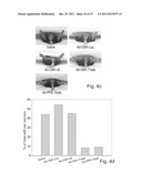 POLYPEPTIDES AND POLYNUCLEOTIDES ENCODING SAME AND USE THEREOF IN THE     TREATMENT OF MEDICAL CONDITIONS ASSOCIATED WITH ISCHEMIA diagram and image