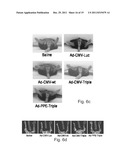 POLYPEPTIDES AND POLYNUCLEOTIDES ENCODING SAME AND USE THEREOF IN THE     TREATMENT OF MEDICAL CONDITIONS ASSOCIATED WITH ISCHEMIA diagram and image