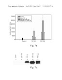 POLYPEPTIDES AND POLYNUCLEOTIDES ENCODING SAME AND USE THEREOF IN THE     TREATMENT OF MEDICAL CONDITIONS ASSOCIATED WITH ISCHEMIA diagram and image