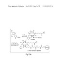 HISTONE DEACETYLASES, AND USES RELATED THERETO diagram and image