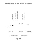 HISTONE DEACETYLASES, AND USES RELATED THERETO diagram and image