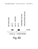 HISTONE DEACETYLASES, AND USES RELATED THERETO diagram and image