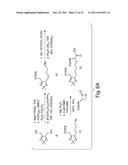 HISTONE DEACETYLASES, AND USES RELATED THERETO diagram and image