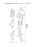 HISTONE DEACETYLASES, AND USES RELATED THERETO diagram and image