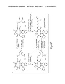 HISTONE DEACETYLASES, AND USES RELATED THERETO diagram and image