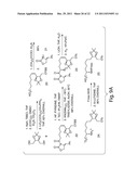 HISTONE DEACETYLASES, AND USES RELATED THERETO diagram and image