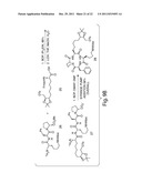 HISTONE DEACETYLASES, AND USES RELATED THERETO diagram and image