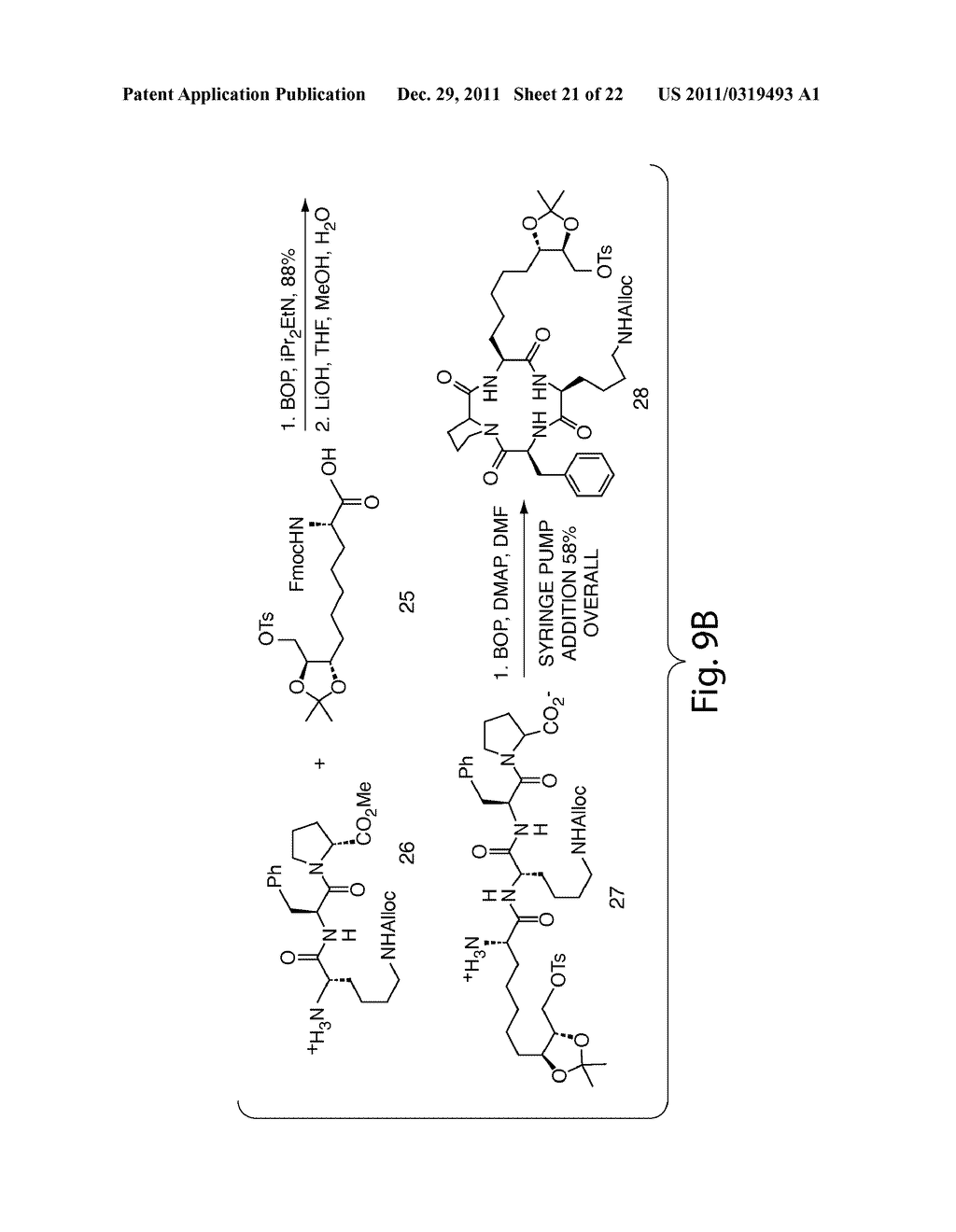 HISTONE DEACETYLASES, AND USES RELATED THERETO - diagram, schematic, and image 22