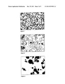 SOFT CAPSULE BASED ON STARCH AND A METHOD AND DEVICE FOR THE PRODUCTION     THEREOF diagram and image