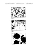 SOFT CAPSULE BASED ON STARCH AND A METHOD AND DEVICE FOR THE PRODUCTION     THEREOF diagram and image