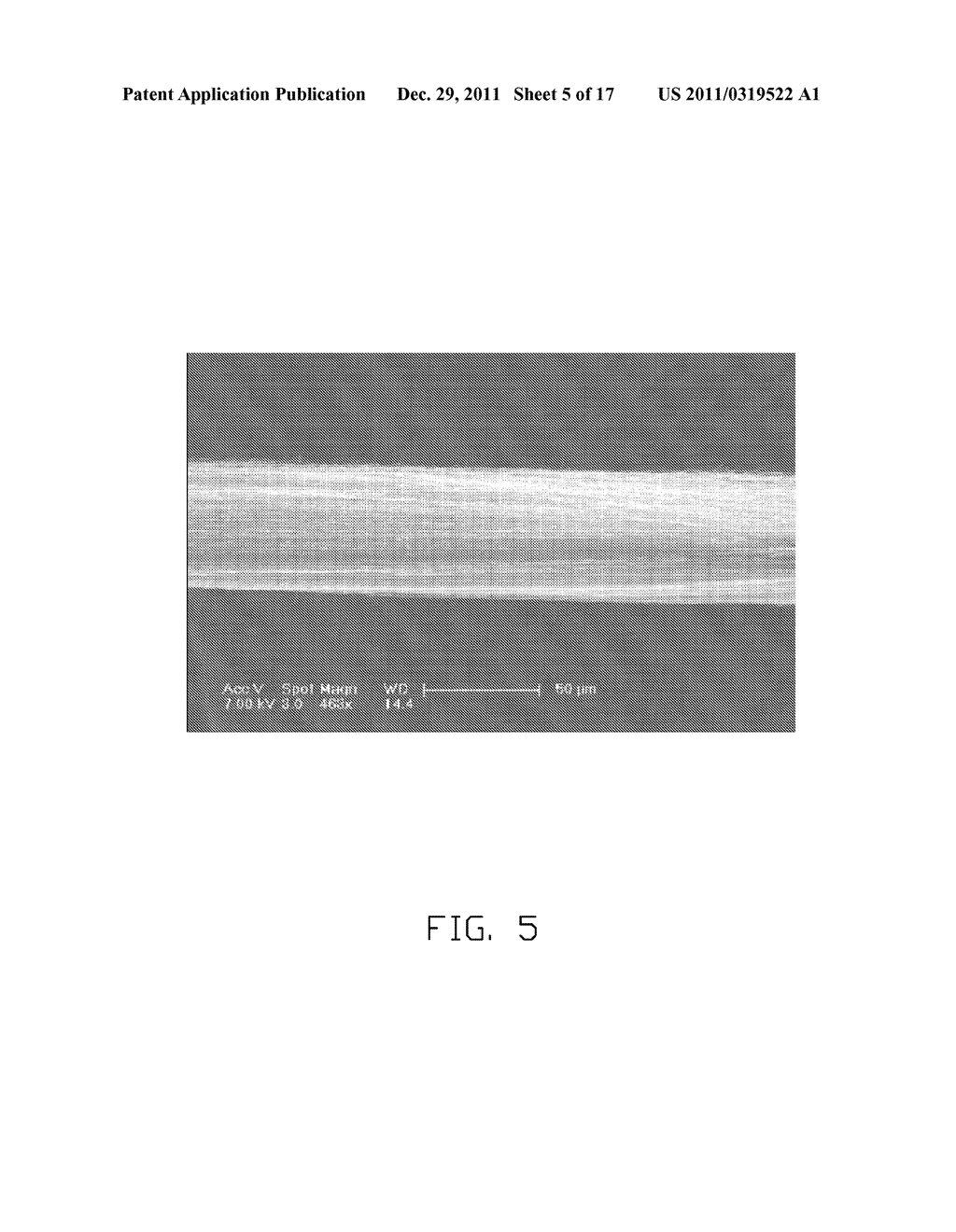 METHOD FOR MAKING COMPOSITE CARBON NANOTUBE STRUCTURE - diagram, schematic, and image 06